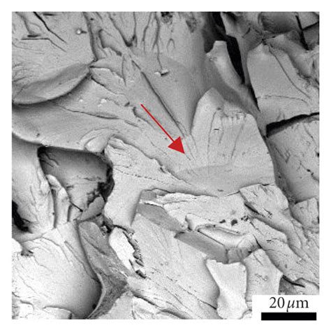 Understanding the Mechanisms of